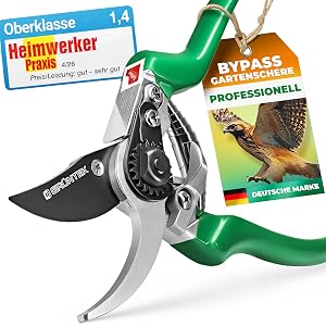 Grüntek Falke